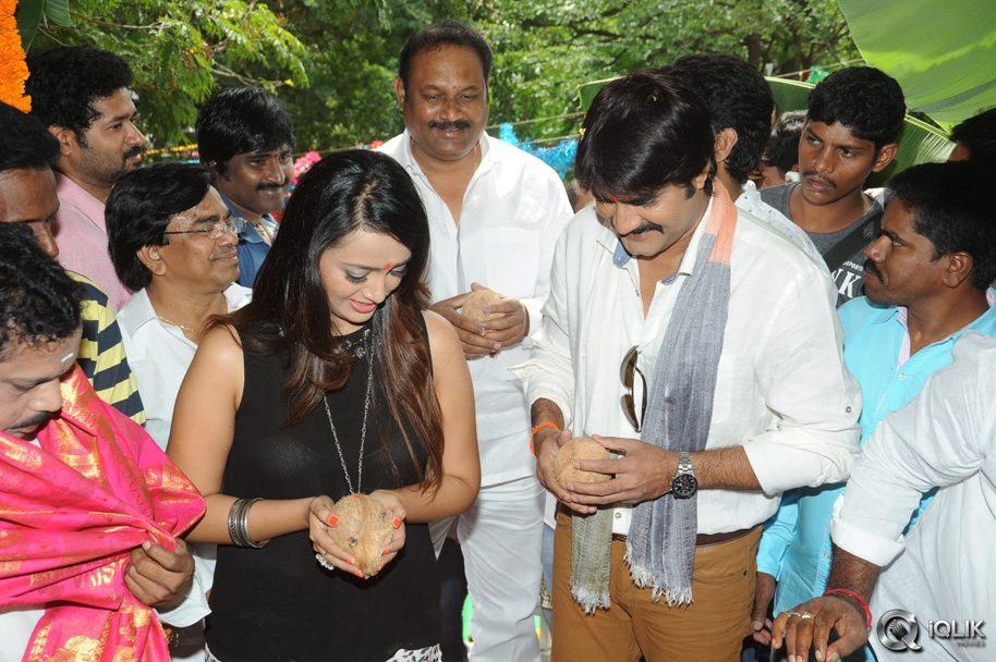 Jalsa-Rayudu-Movie-Opening